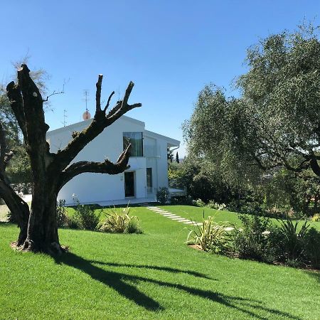 Villa Il Bacio Del Sole Verona Exteriér fotografie